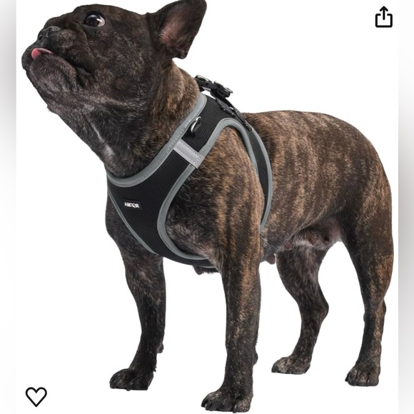 AMTOR MEDIUM DOG HARNESS/LEASH. Reflective Harness. - Picture 3 of 9